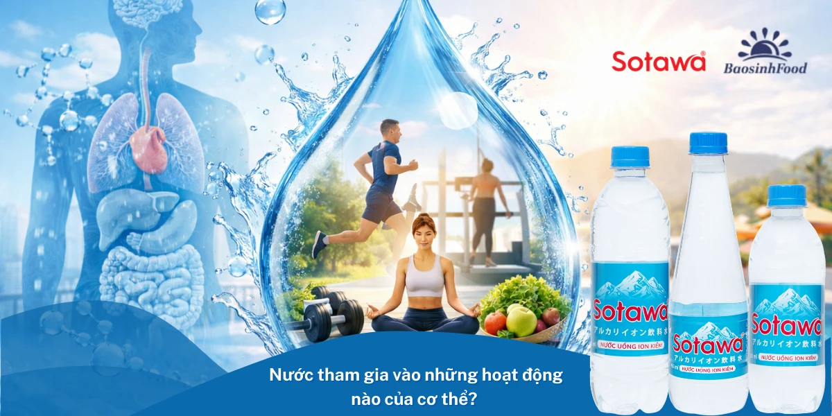 Nước tham gia vào những hoạt động nào của cơ thể?